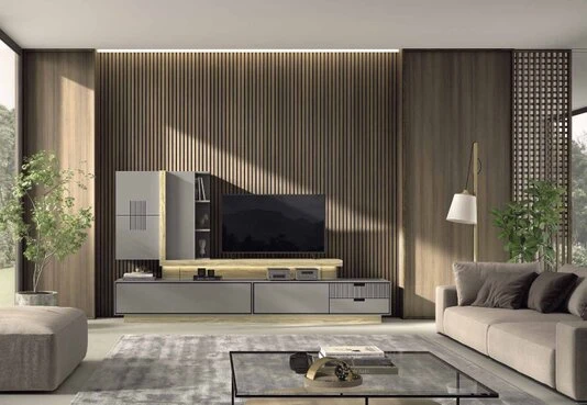 Programa Salón IRIS 2.0